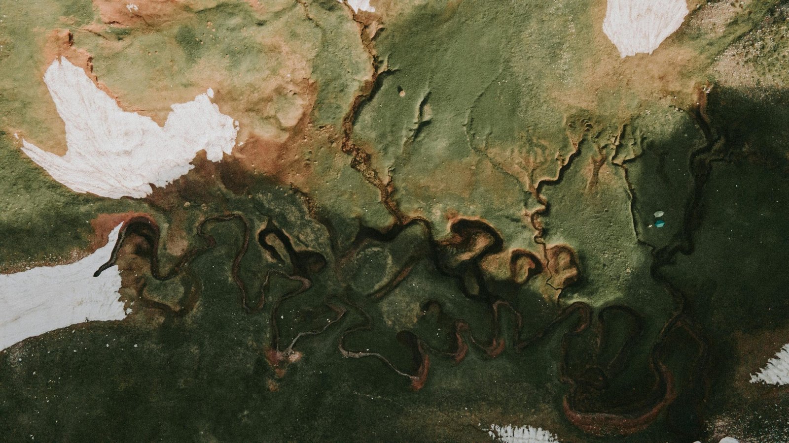 Hidden Mold Risks in Your Home: Expert Insights on Overlooked Areas and Warning Signs